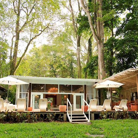 Gigi Brown Villa Frida Beachfront Puerto Viejo de Talamanca Εξωτερικό φωτογραφία