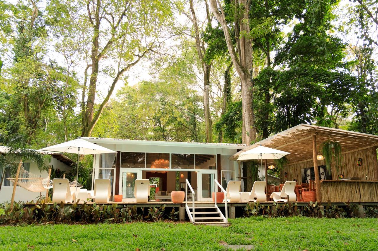 Gigi Brown Villa Frida Beachfront Puerto Viejo de Talamanca Εξωτερικό φωτογραφία