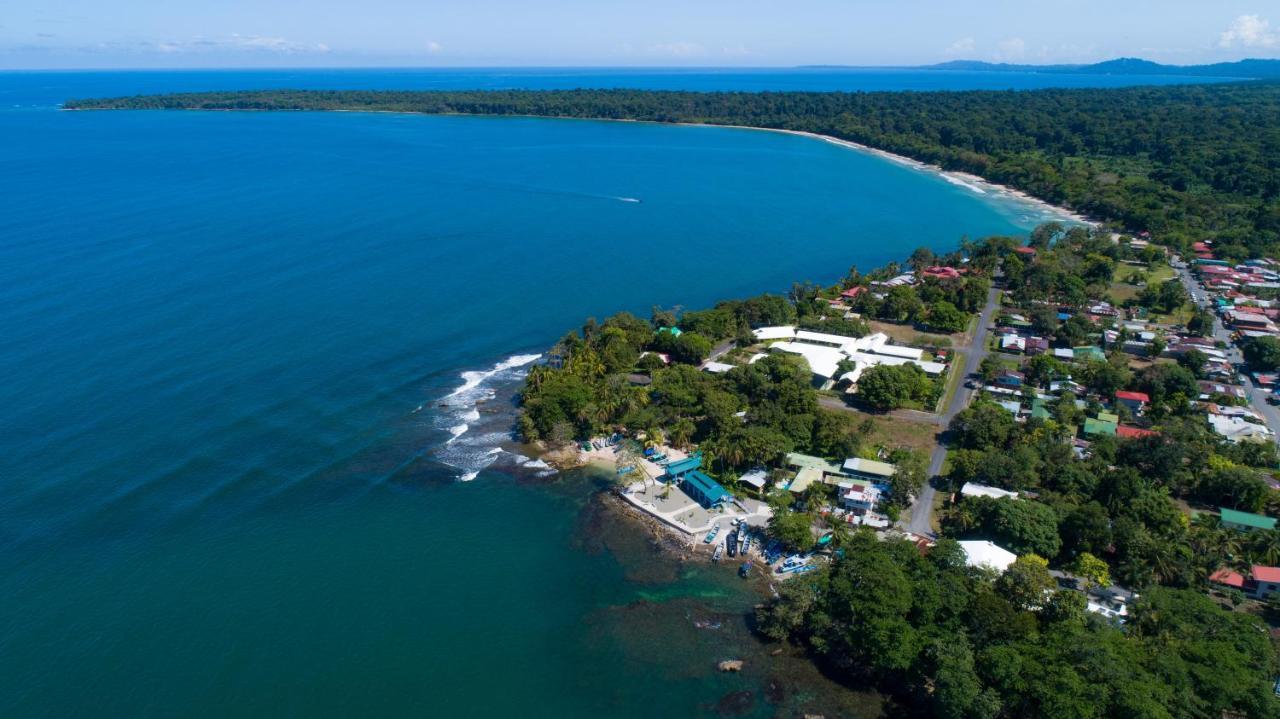 Gigi Brown Villa Frida Beachfront Puerto Viejo de Talamanca Εξωτερικό φωτογραφία