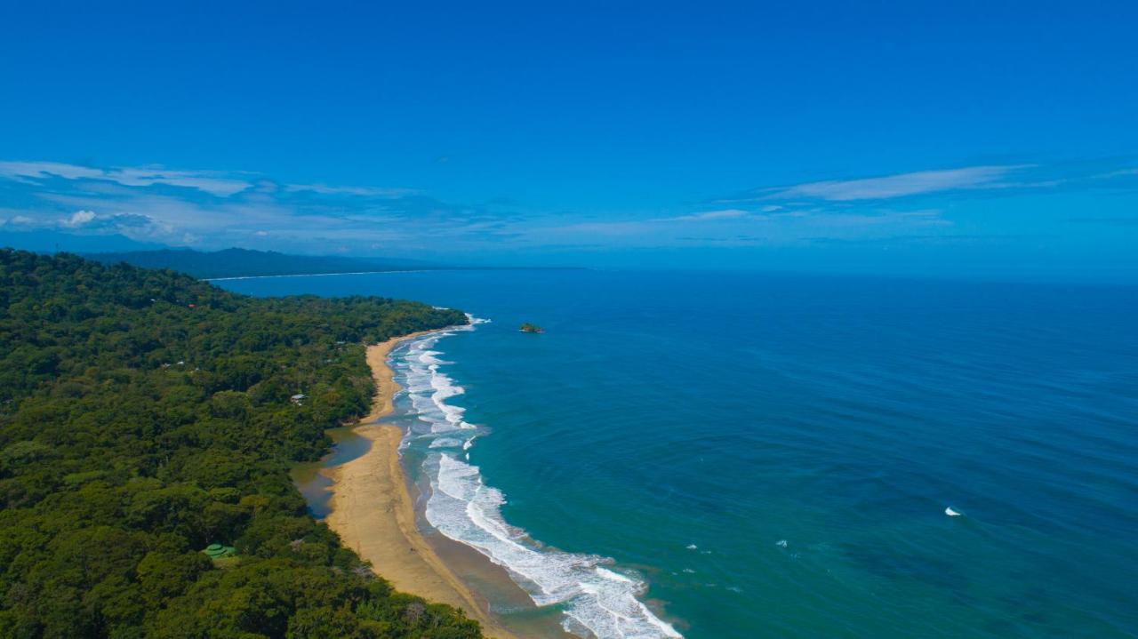 Gigi Brown Villa Frida Beachfront Puerto Viejo de Talamanca Εξωτερικό φωτογραφία